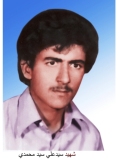 شهید سید علی سید محمدی