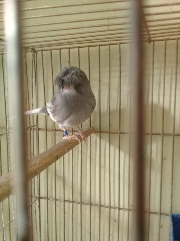 ٢?١٨١?١٥_١٥٥٦٥٨