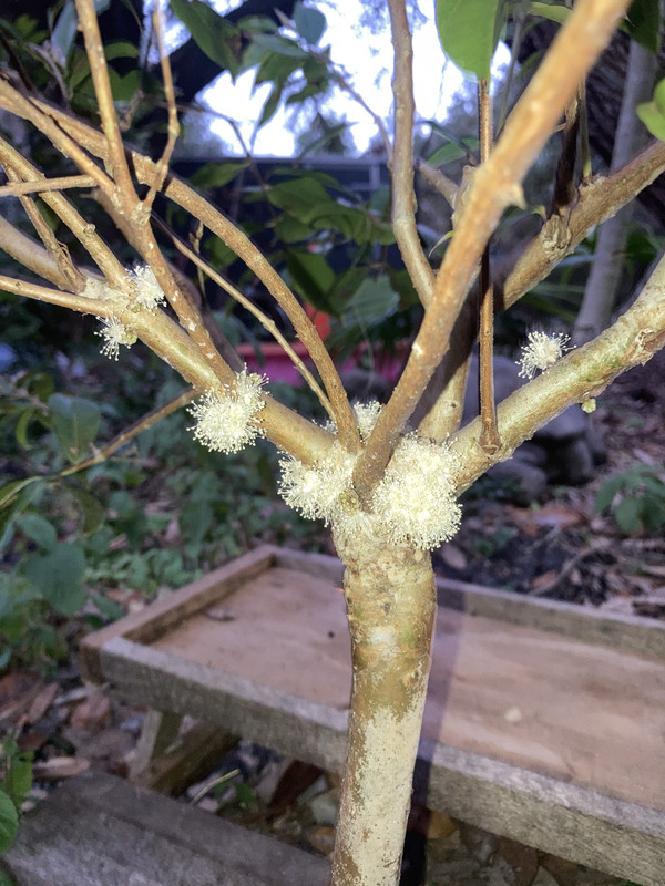 E502D9BC-3725-4E3C-BEAC-92C458DB2C2E