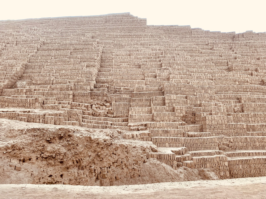 485A77AD-4C01-488D-855D-DF384B2C60F1