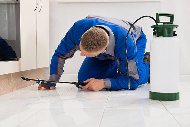 Oviedo pest control