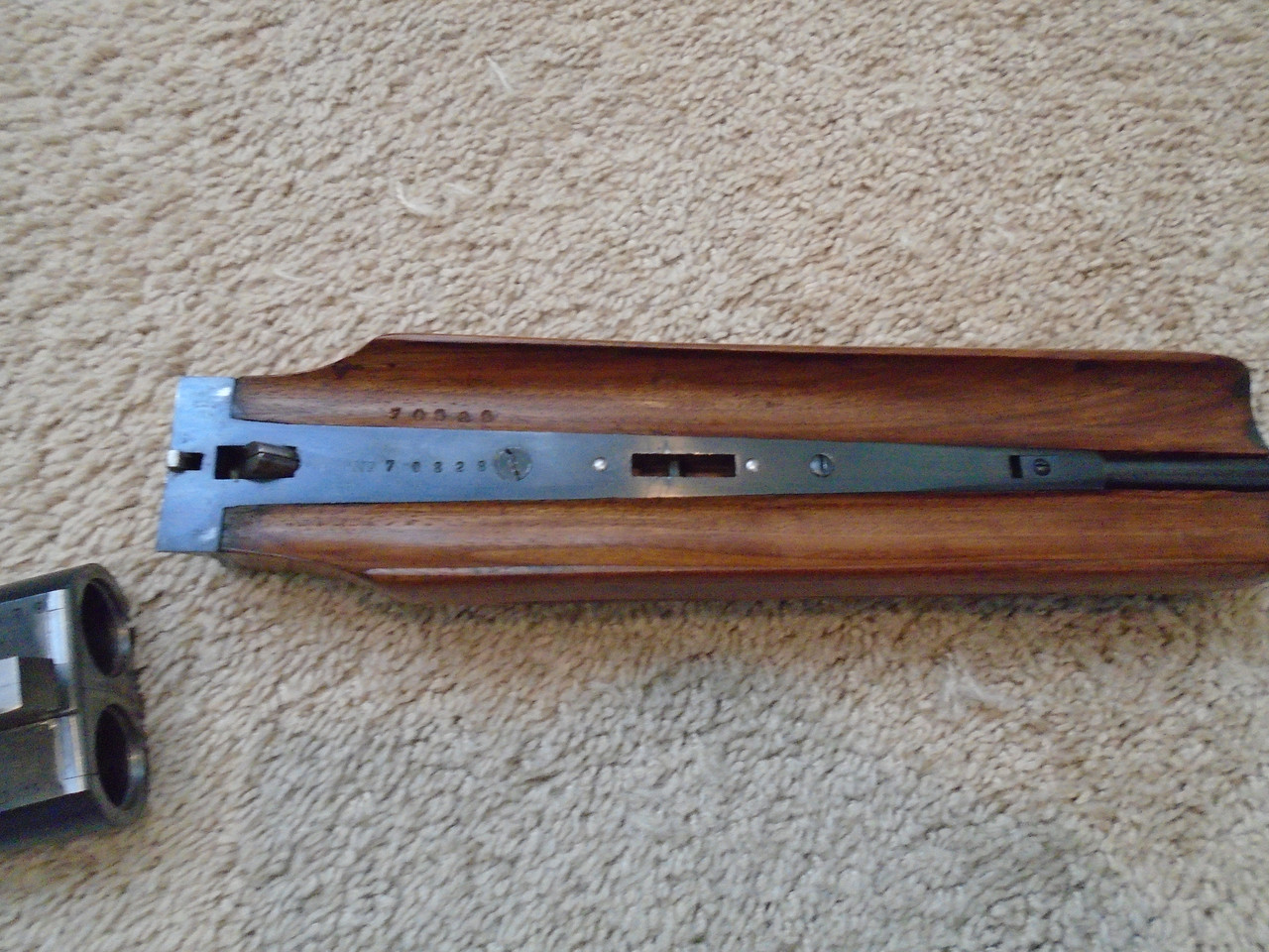 [Linked Image from i.postimg.cc]