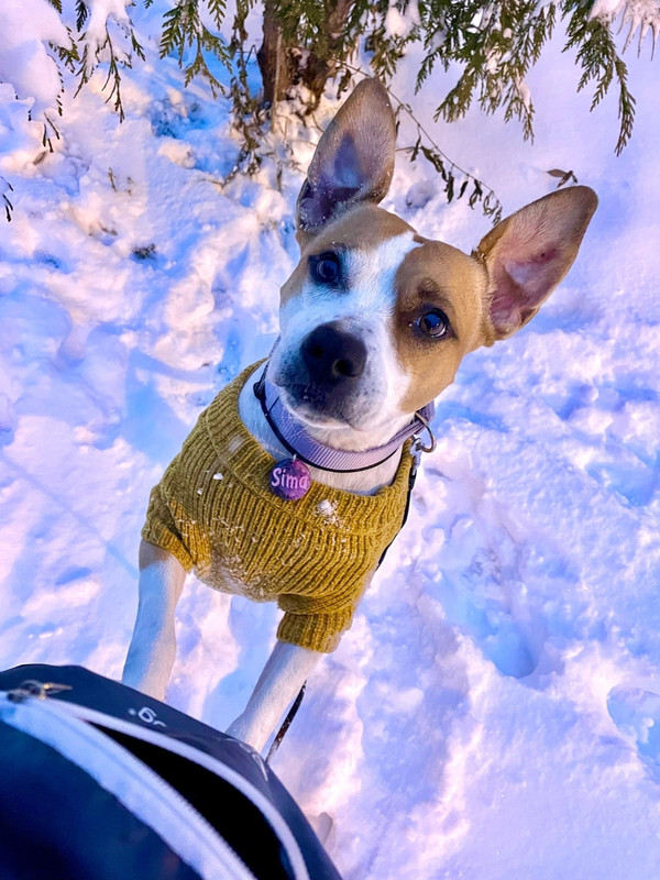 AE0F60F0-D23F-469C-B2AF-2EE34C22FC92