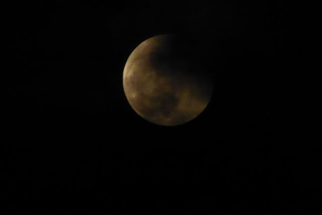 P1060334.jpg