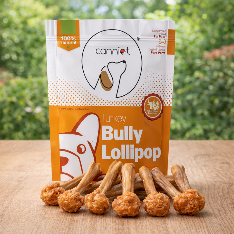 Turkey Bully Lollipop - Paletas naturales de pavo