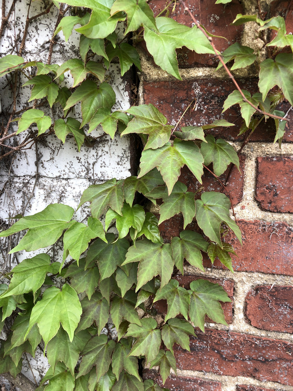 6E0CCE92-B0D0-47E4-87CD-0336B3A175A3