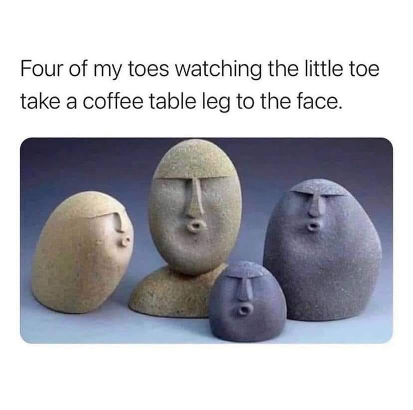 279624997_10159919141213180_6651574217647275149_n