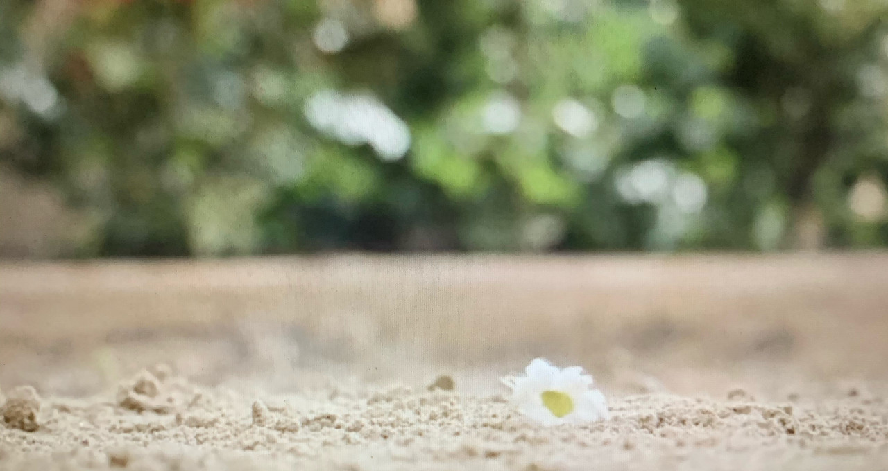 07E47624-B653-4E6D-A831-B44092E3A588