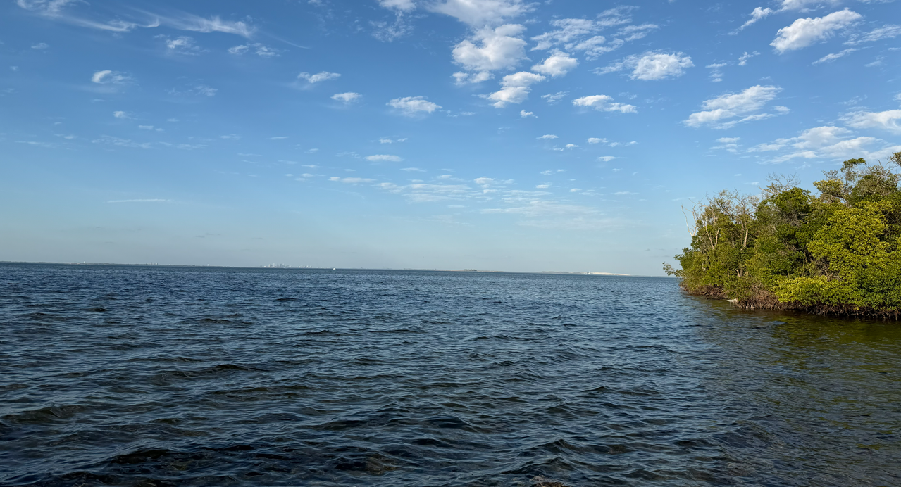 [Image: EGSimmons-Conservation-Park3.png]