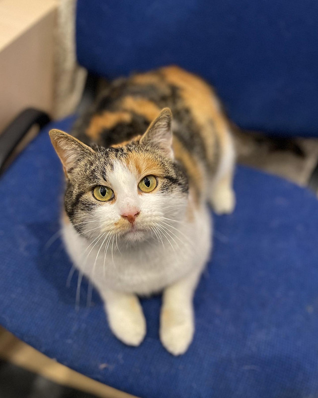 09C672D8-856D-4FBB-B660-FEC54B5E9872