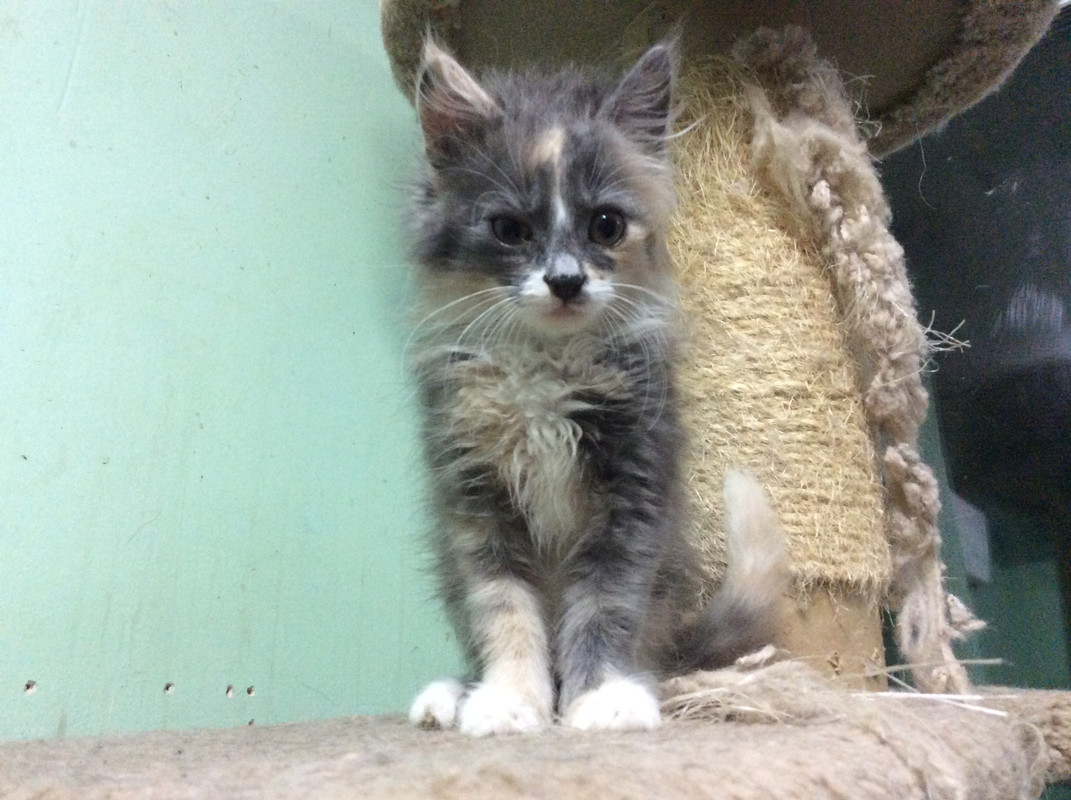 49B38FF6-02C7-49E0-84A6-47B4057BE387