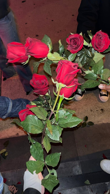 21E93A44-1B80-46AD-A2EF-EF7199DF846E