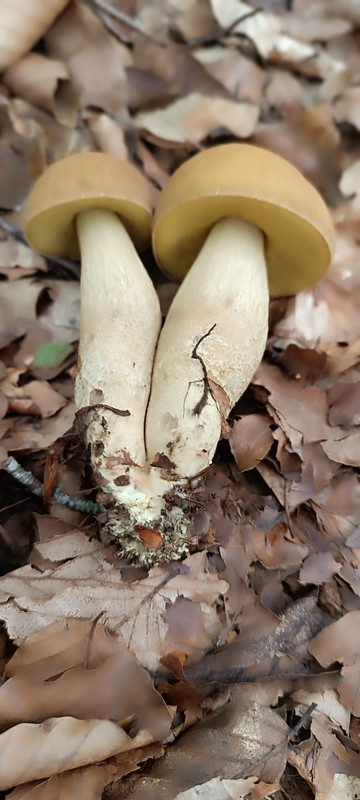 WhatsApp Image 2023-08-06 at 16.43.56 (2)