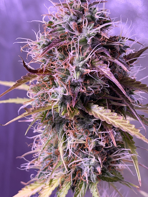 82737F3D-3FAF-48BC-BE3C-7BB870F5EDA2