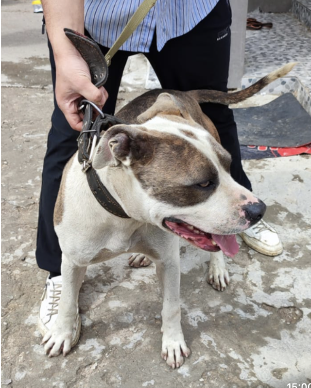 Снимок экрана 2024-06-11 в 18.53.57