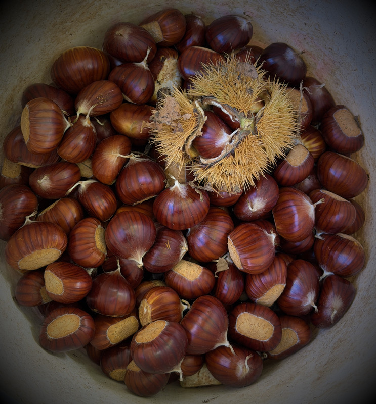 Marroni lucidi in primo piano