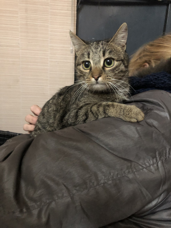 4358202D-EBB8-4995-8AEC-69006B7D3AAA