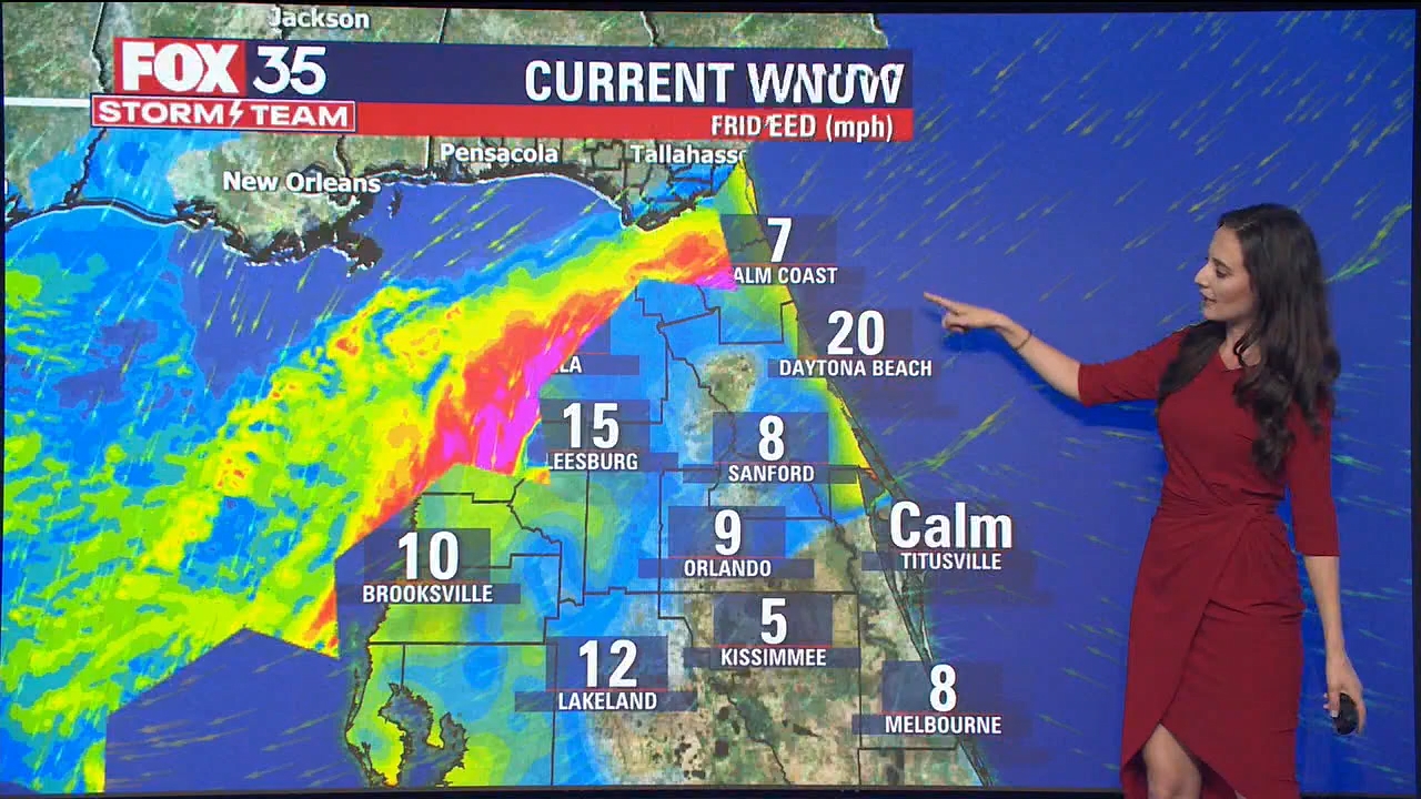 11.05 - 12.00.00 - Good Day Orlando at 8am  ᴺᵉʷ. Morning news..ts_snapshot_16.33.493