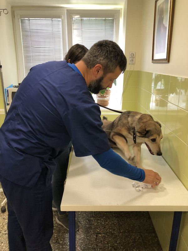 78F9945D-BB28-462C-93EB-AFA438BA3AF4