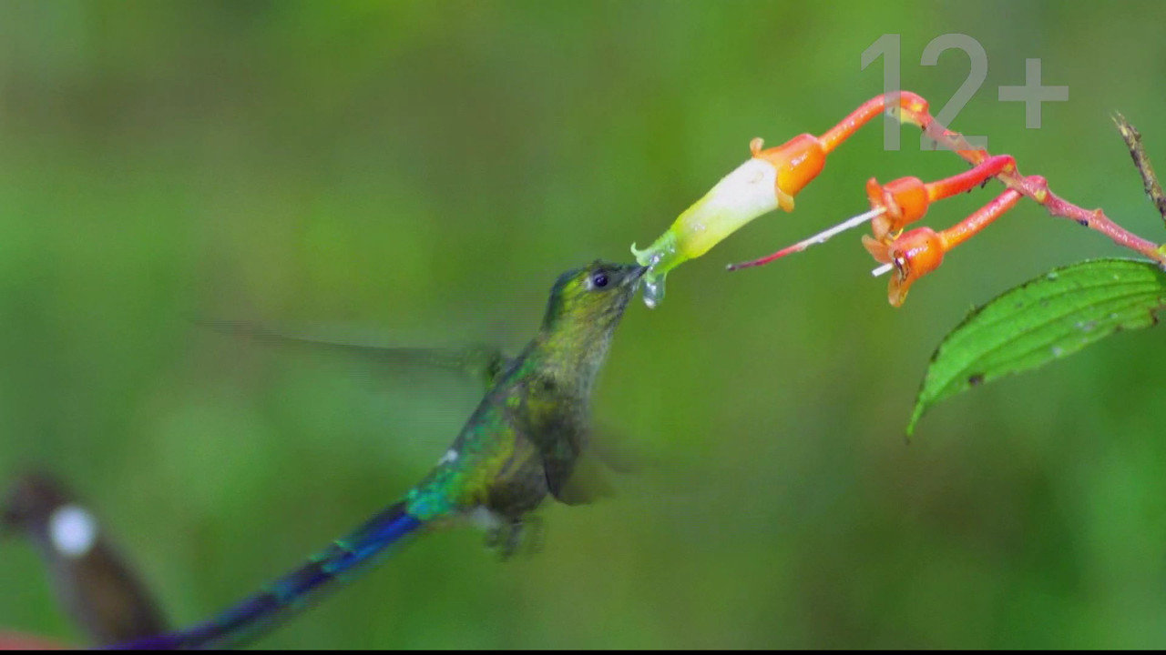 1_0_1_14B_E7_1_FFFF0000_0_0_0