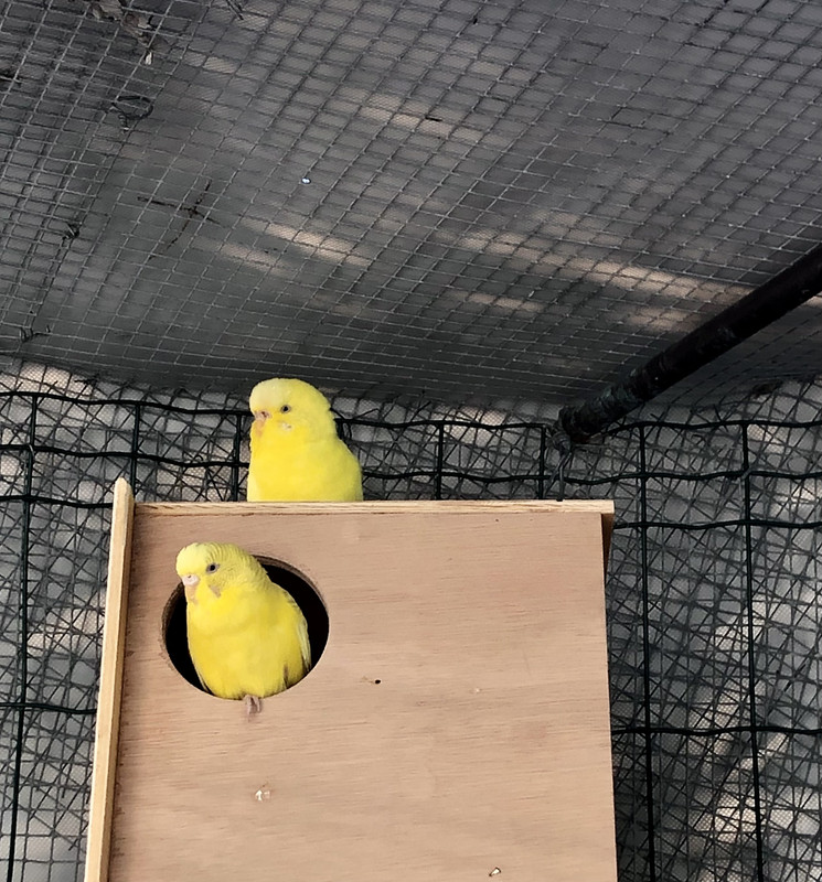 5D79FF02-FE32-439A-9238-53FFCBCA46F6