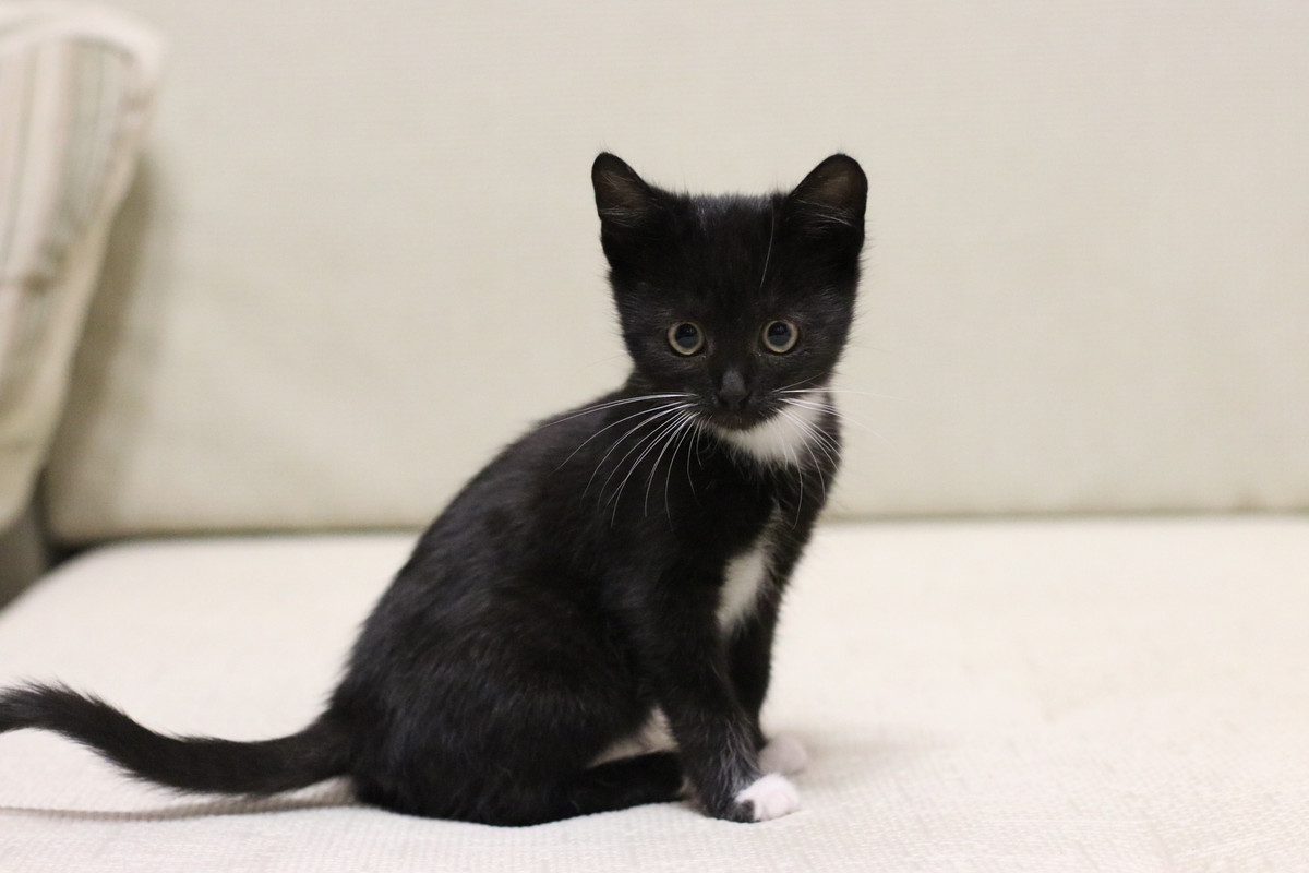 58DE8FC1-36E2-421B-AE7B-9EC6BB8C2E25