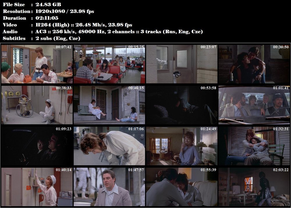 Silkwoodová / Silkwood (1983)
