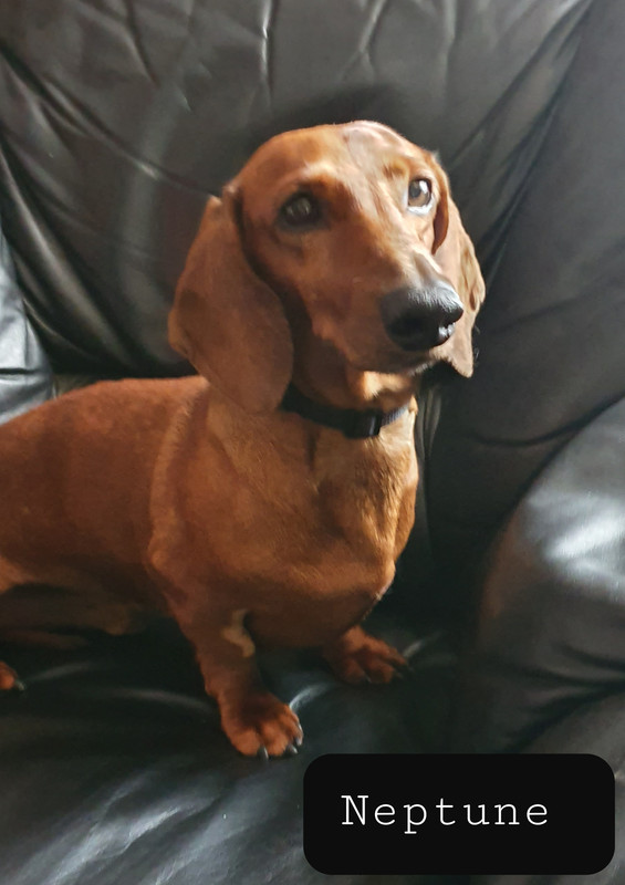 [Image: 20220929-160805.jpg]