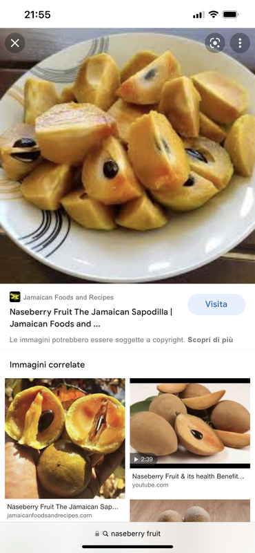 874B6065-FA2E-4C3D-B354-BFD2ECD6C7C5