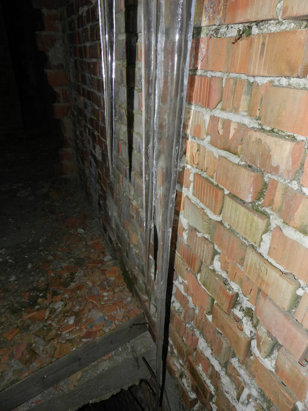 03.16 - DSCN7652 (Milady)