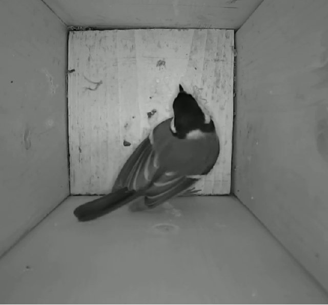 2D7C4EC4-D067-468D-BC46-950DD65C74B3