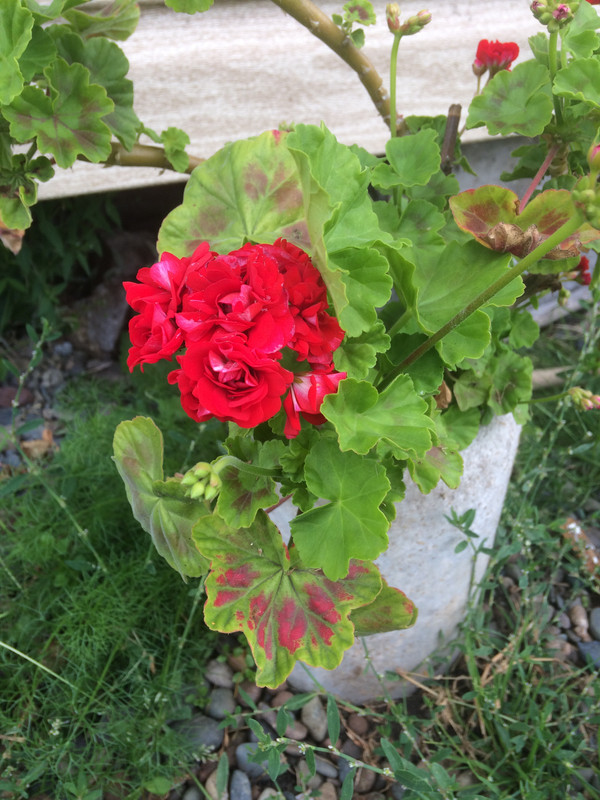 312F3775-978B-48B8-AEA7-60345D4185FF