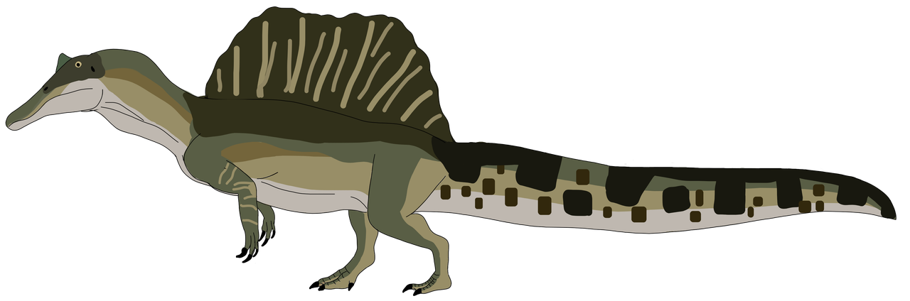 Untitled 10 spinosaurus