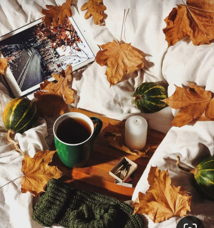 Screenshot_20231015_205605_Pinterest