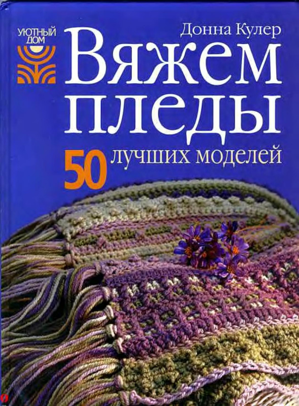 Vyagem-Pled-1