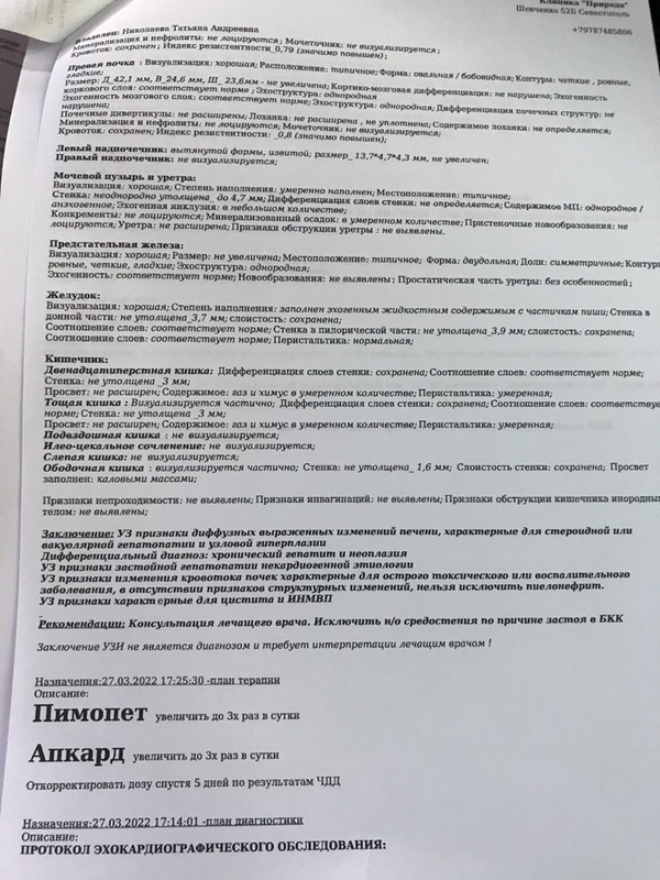 УЗИ март 2022_2