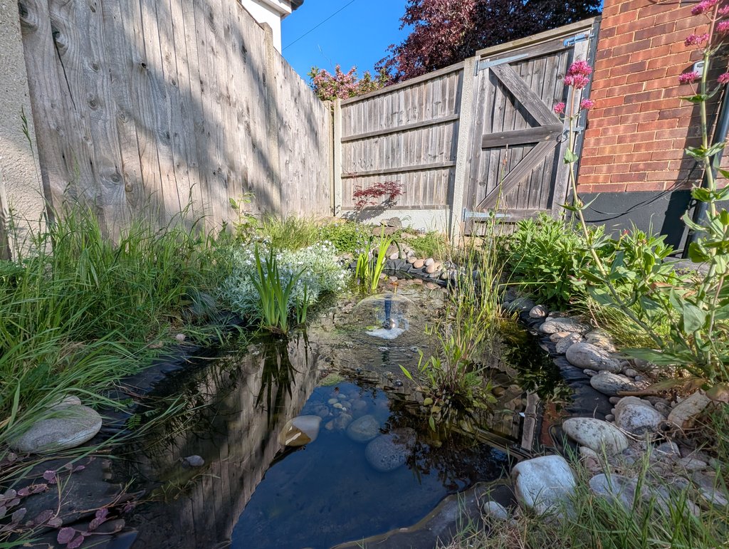 PXL_20250513_071102935.MP