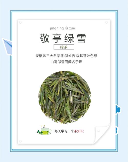 Jingting Green Snow: A Revered Brew from Anhui’s Mist-Covered Peaks Jingting Green Snow: A Revered Brew from Anhui’s Mist-Covered Peaks