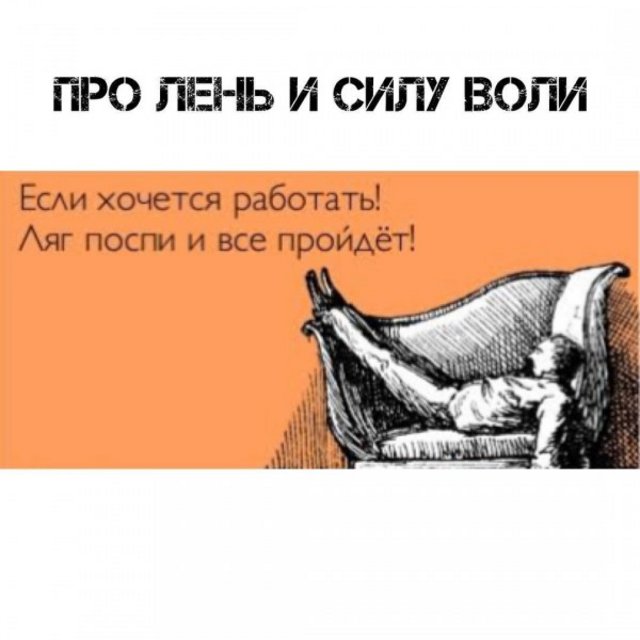 https://i.postimg.cc/jjMvVvKX/48648-600.jpg