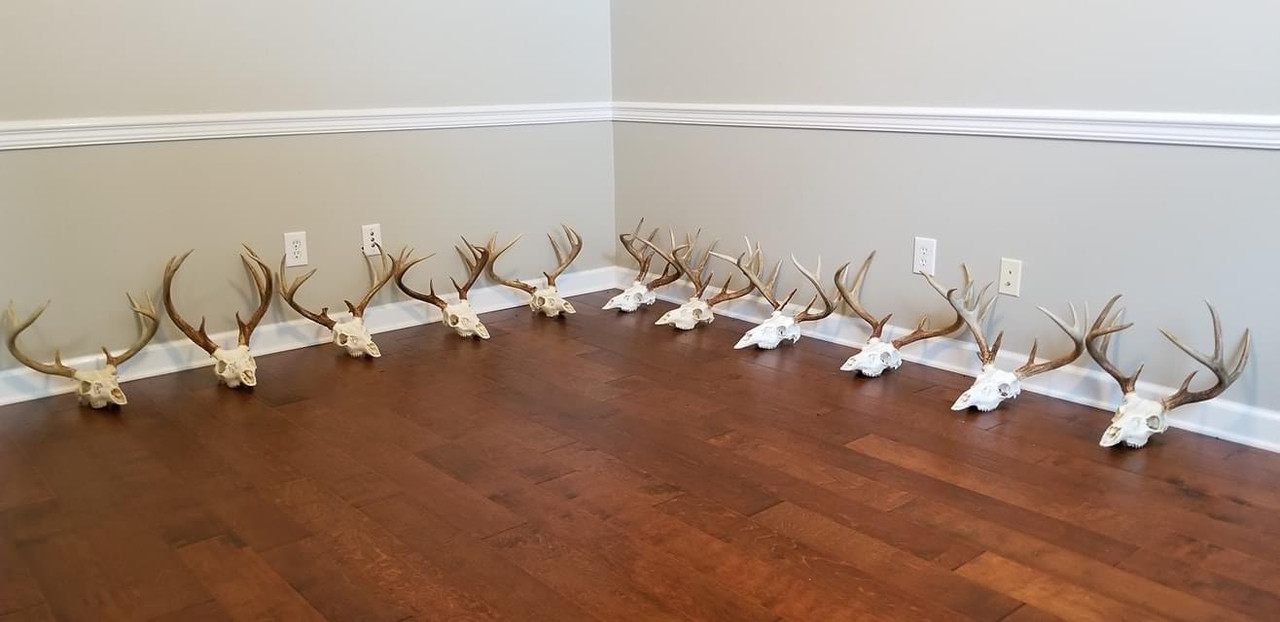 E53D6010-487E-4B36-BD90-E9D1680B0BF9