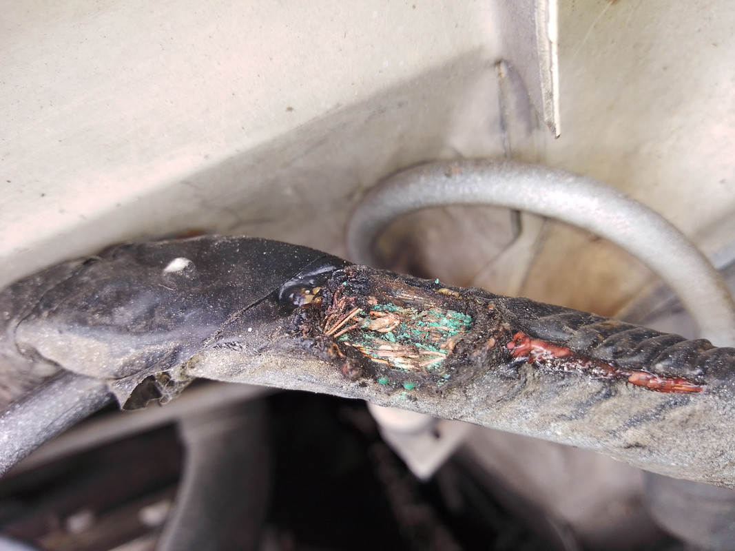 Interférence électrique R4 2