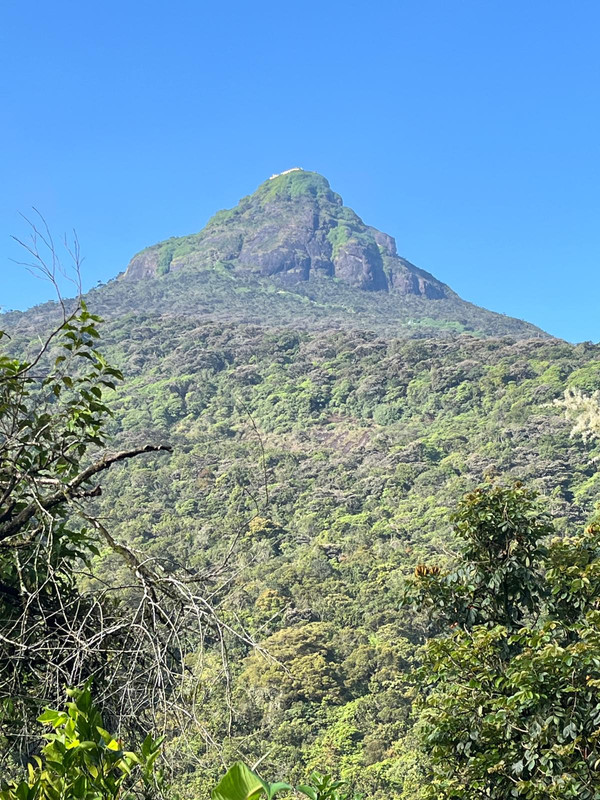 Adams Peak