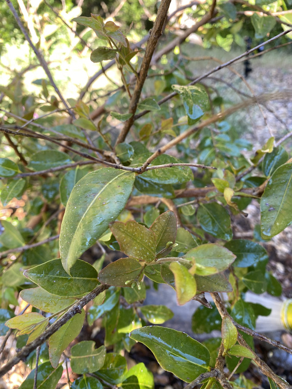 40141175-A5E5-4DC2-A39F-E8D41C66CE4B