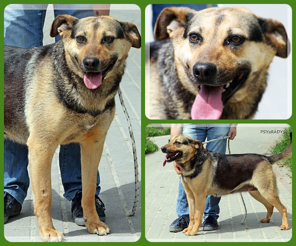 BeFunky-collage (18)