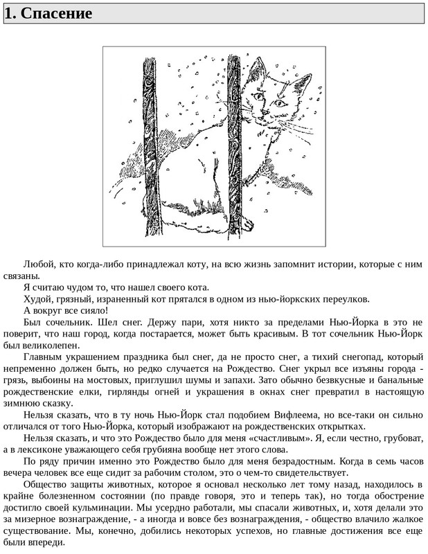 Emori-K-Kot-na-Rozhdestvo-page-0004