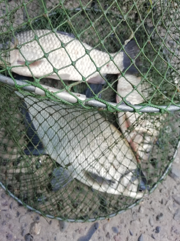 Изображение 1401