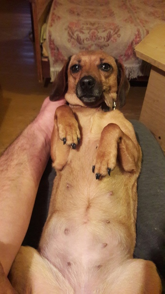 5F71256A-65E3-48FC-AFE8-DB9AEB57E500