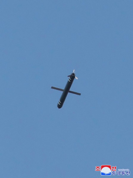 20250126-064817.jpg
