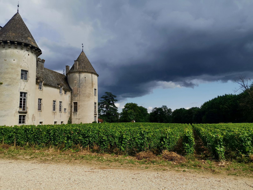 Bourgogne2019 (39).jpg.1