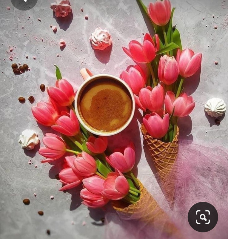 Screenshot_20230717_215742_Pinterest